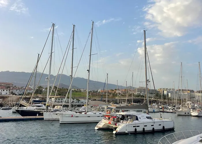 Poseidon - Stunning Ocean & Pool View Terrace Apartment